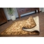 carpet-agnus-starosta-sahara.jpg